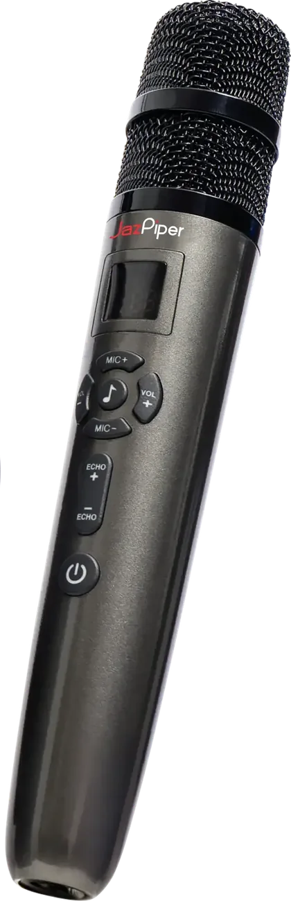 Flip a Switch: Music, or KTV